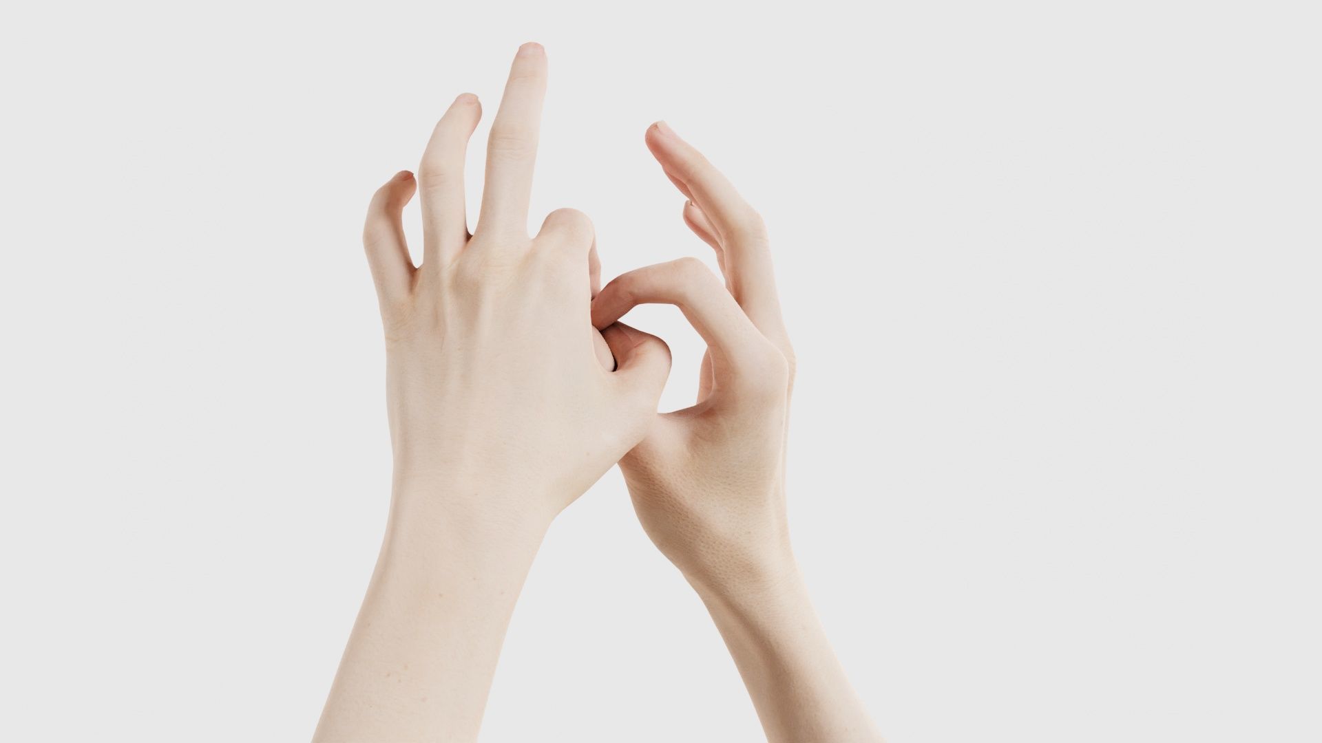 Duo Hands 015 Low-poly 3D model_22