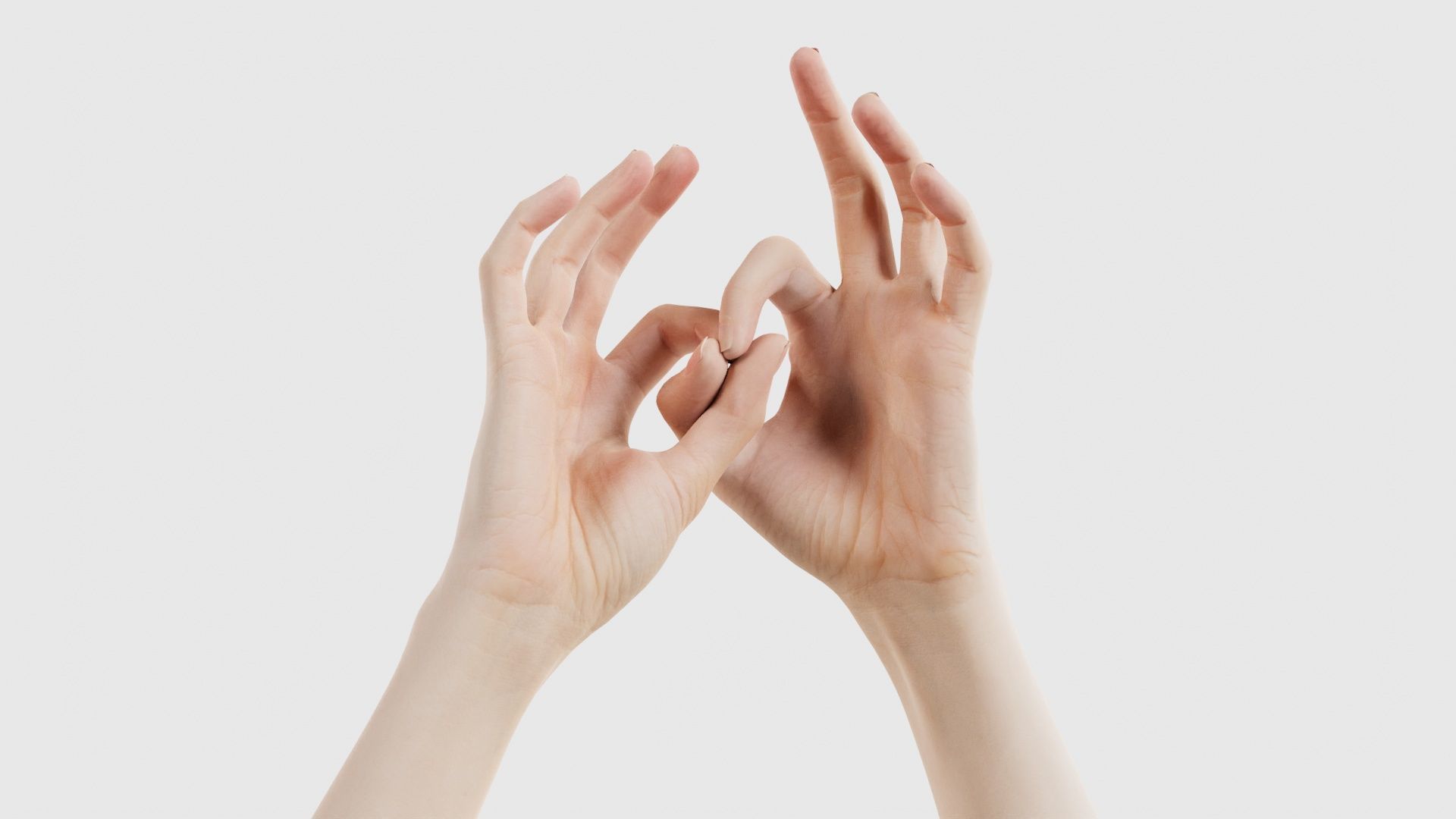 Duo Hands 015 Low-poly 3D model_15