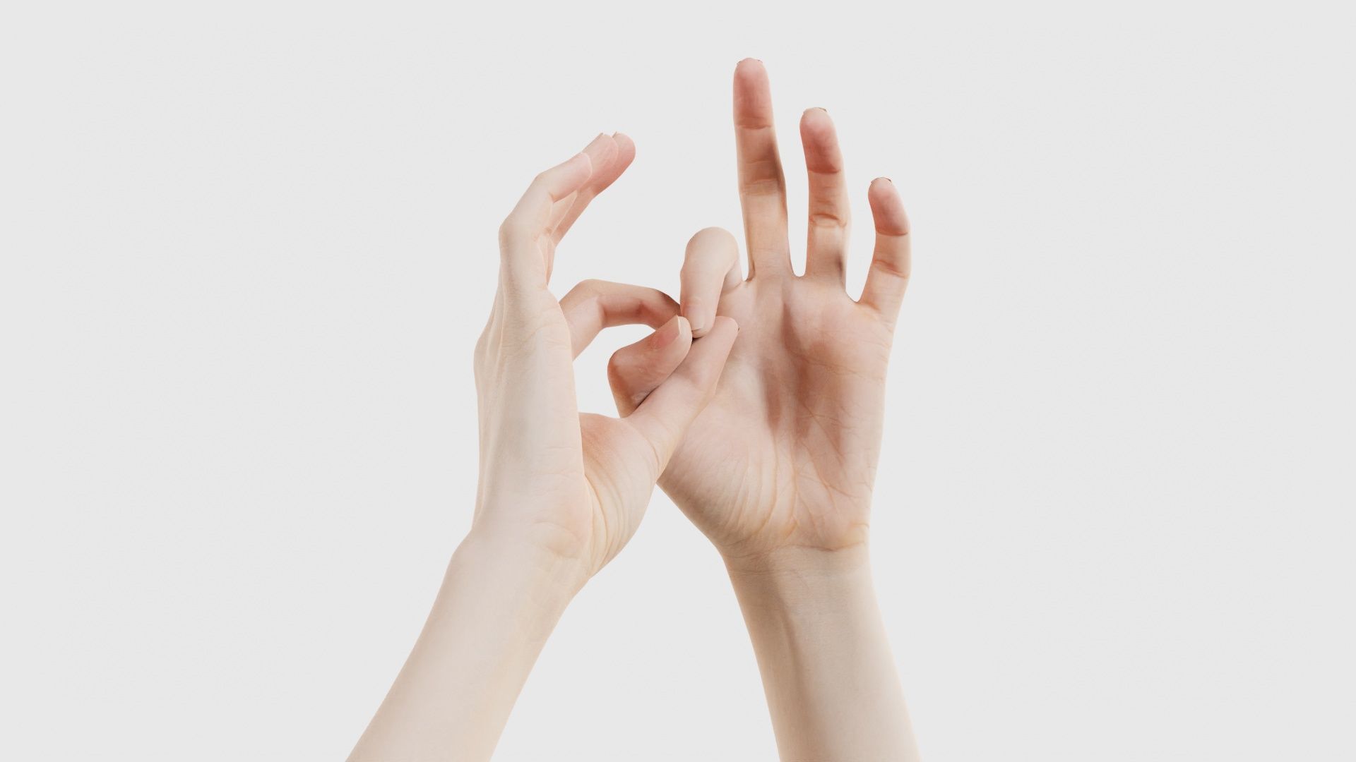 Duo Hands 015 Low-poly 3D model_16