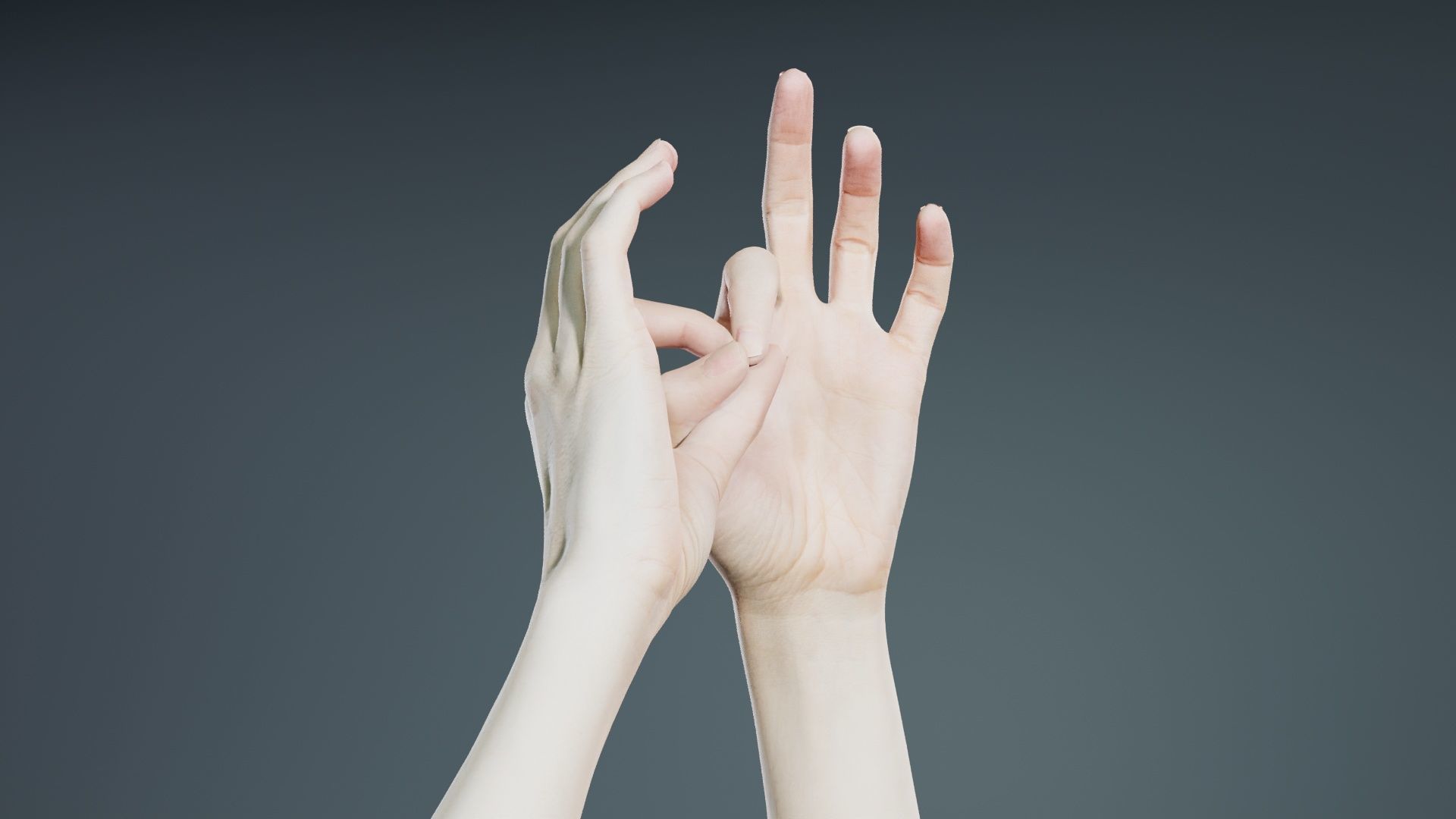 Duo Hands 015 Low-poly 3D model_2