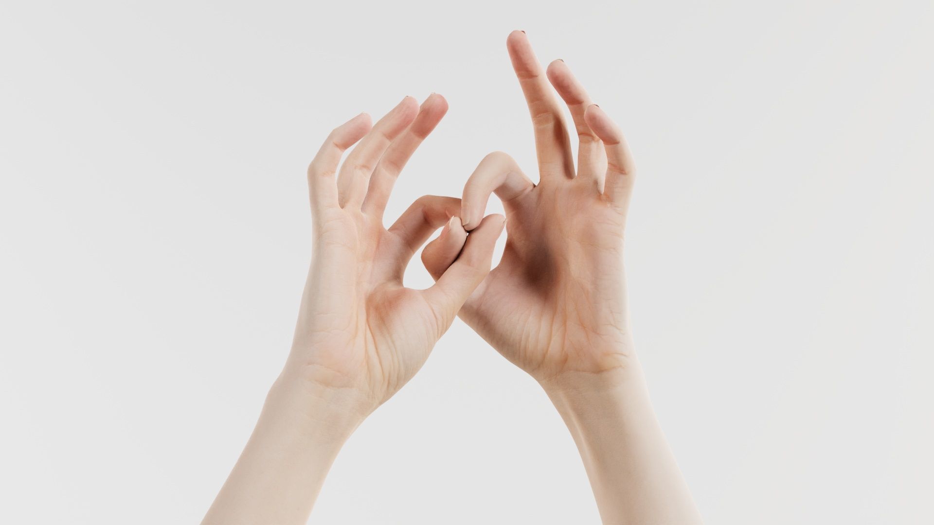 Duo Hands 015 Low-poly 3D model_6