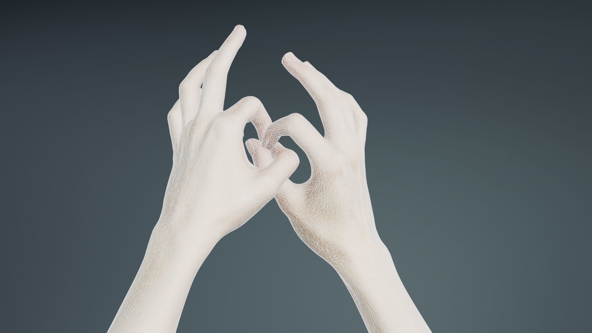 Duo Hands 015 Low-poly 3D model_10