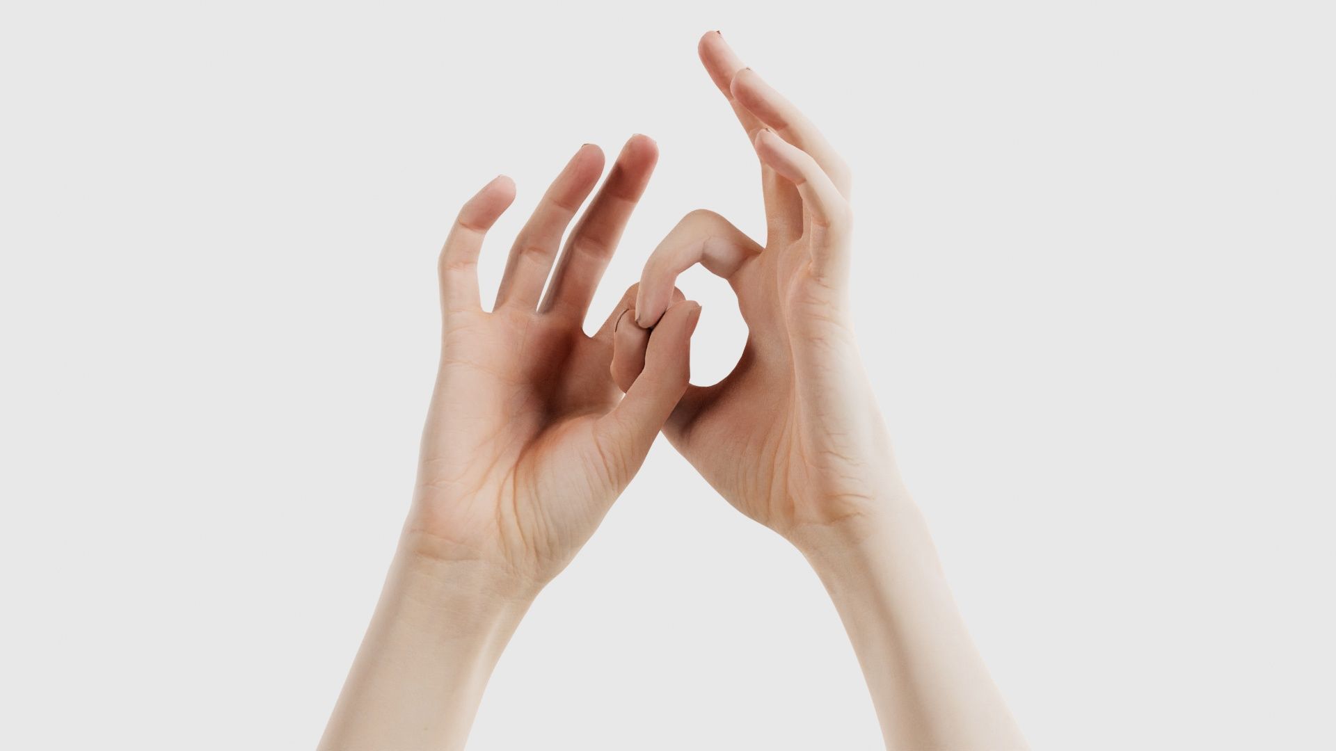 Duo Hands 015 Low-poly 3D model_26