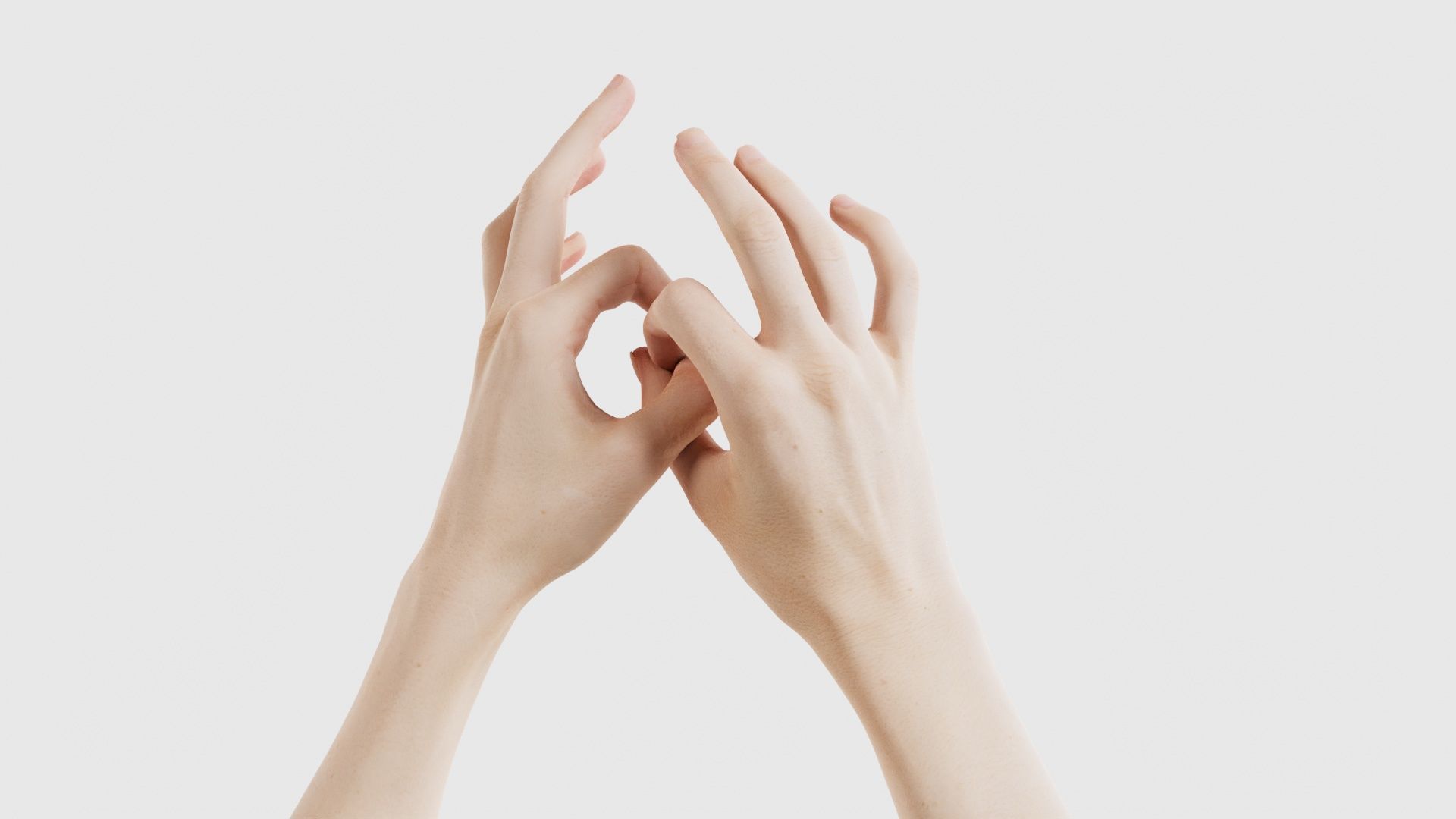 Duo Hands 015 Low-poly 3D model_20