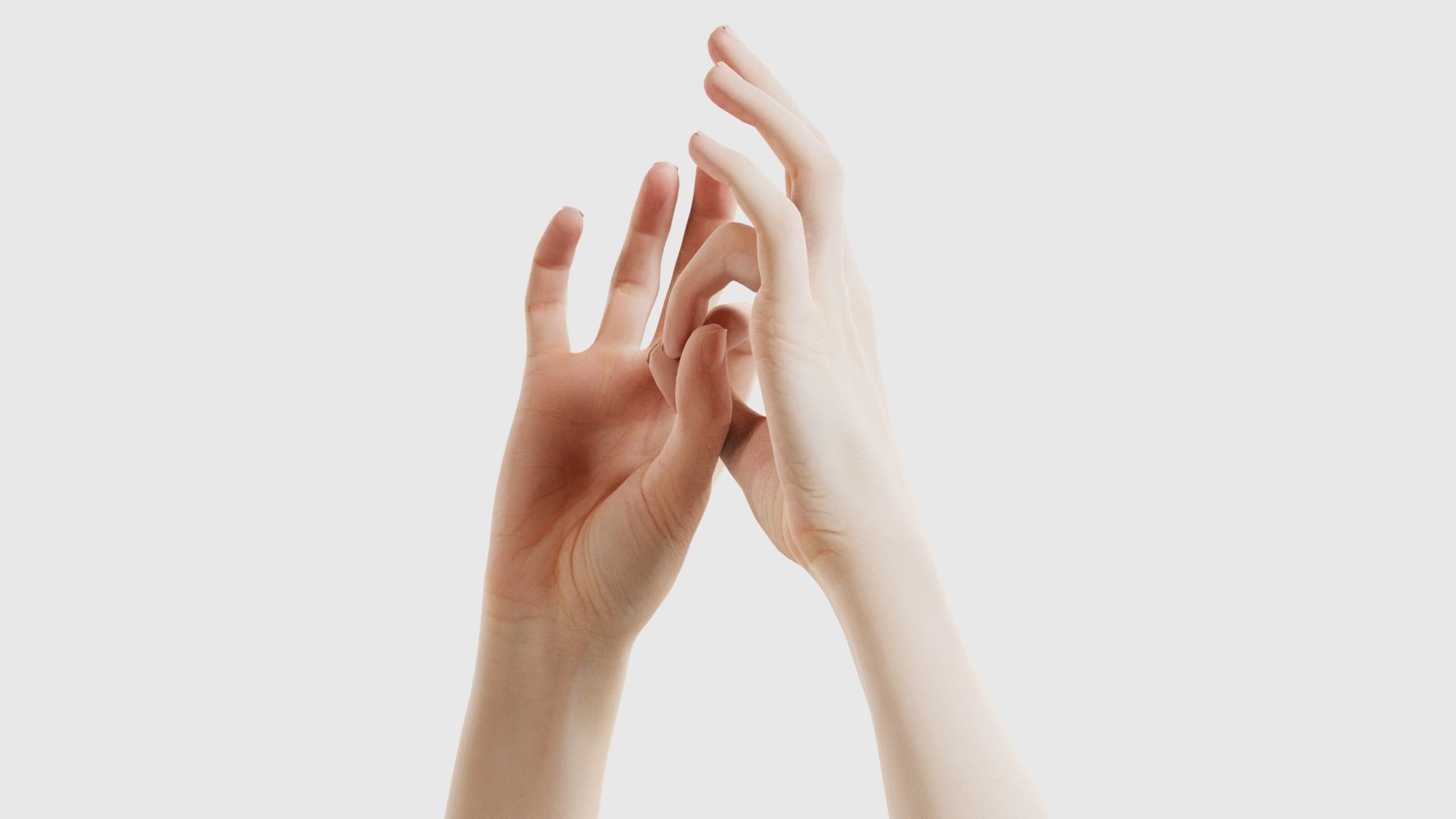 Duo Hands 015 Low-poly 3D model_25