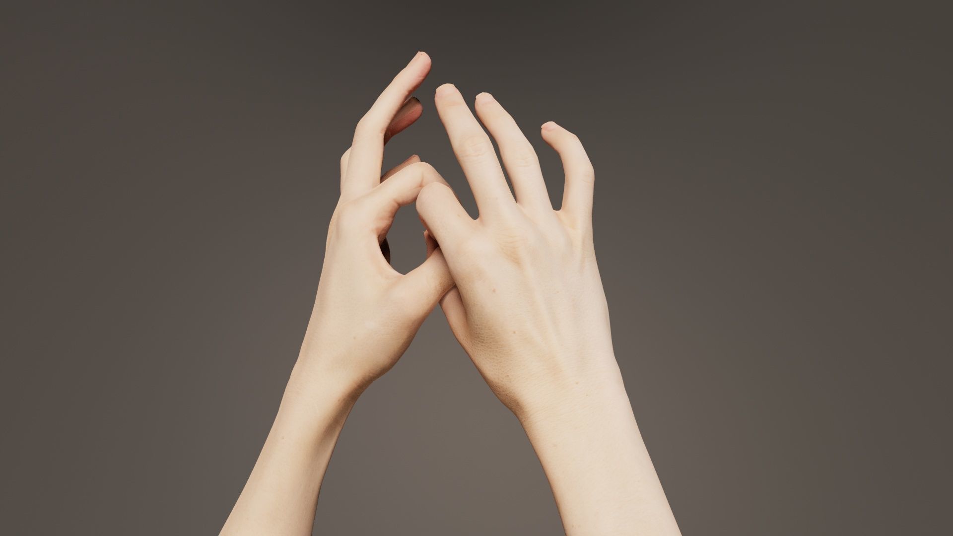 Duo Hands 015 Low-poly 3D model_4