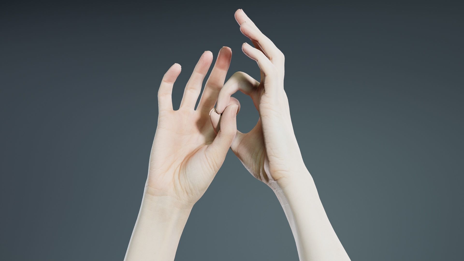 Duo Hands 015 Low-poly 3D model_5