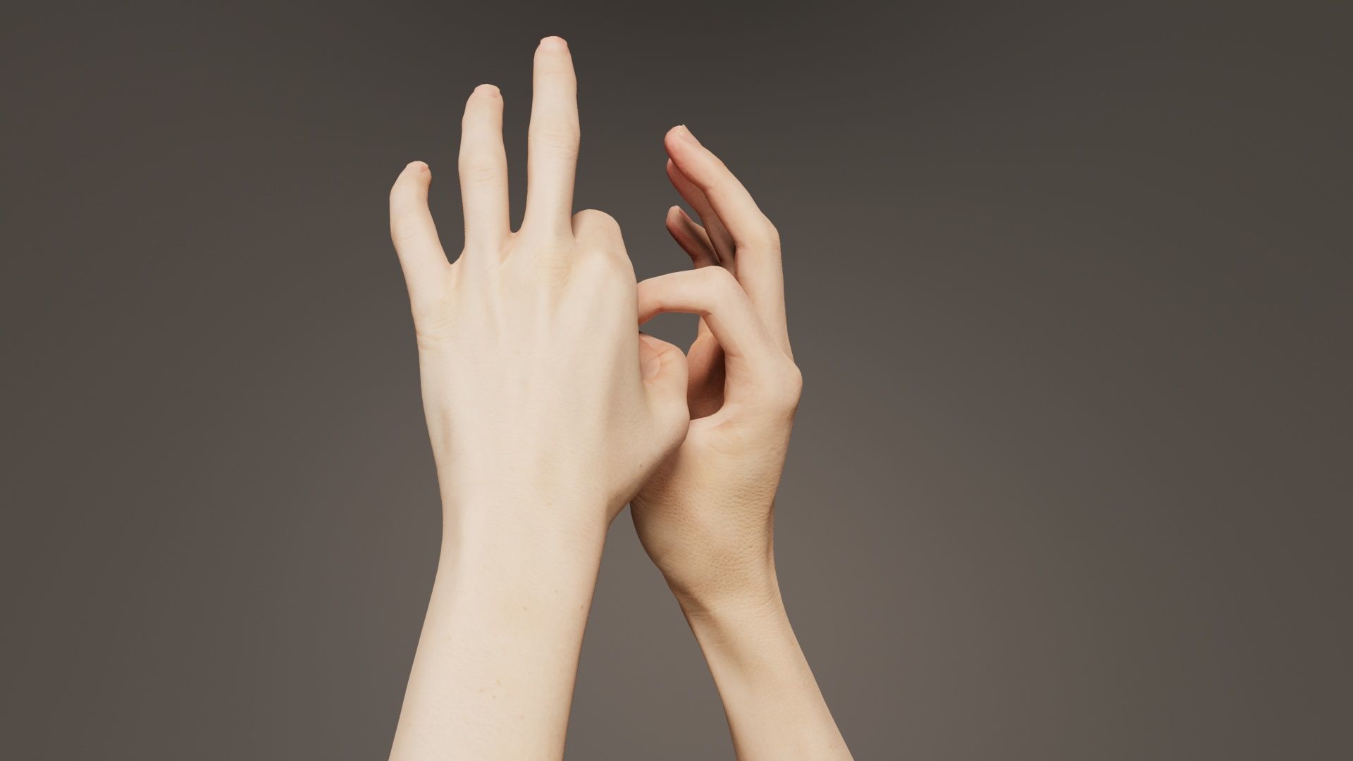 Duo Hands 015 Low-poly 3D model_8