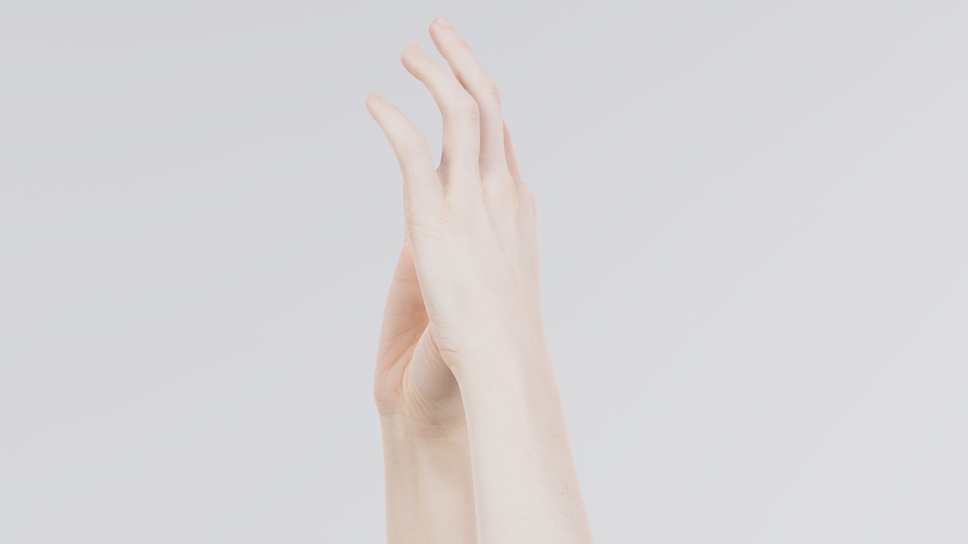 Duo Hands 015 Low-poly 3D model_7