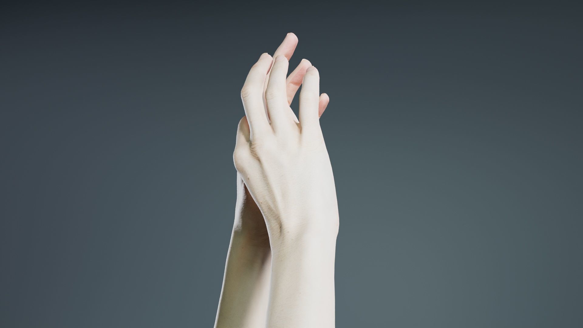 Duo Hands 015 Low-poly 3D model_1