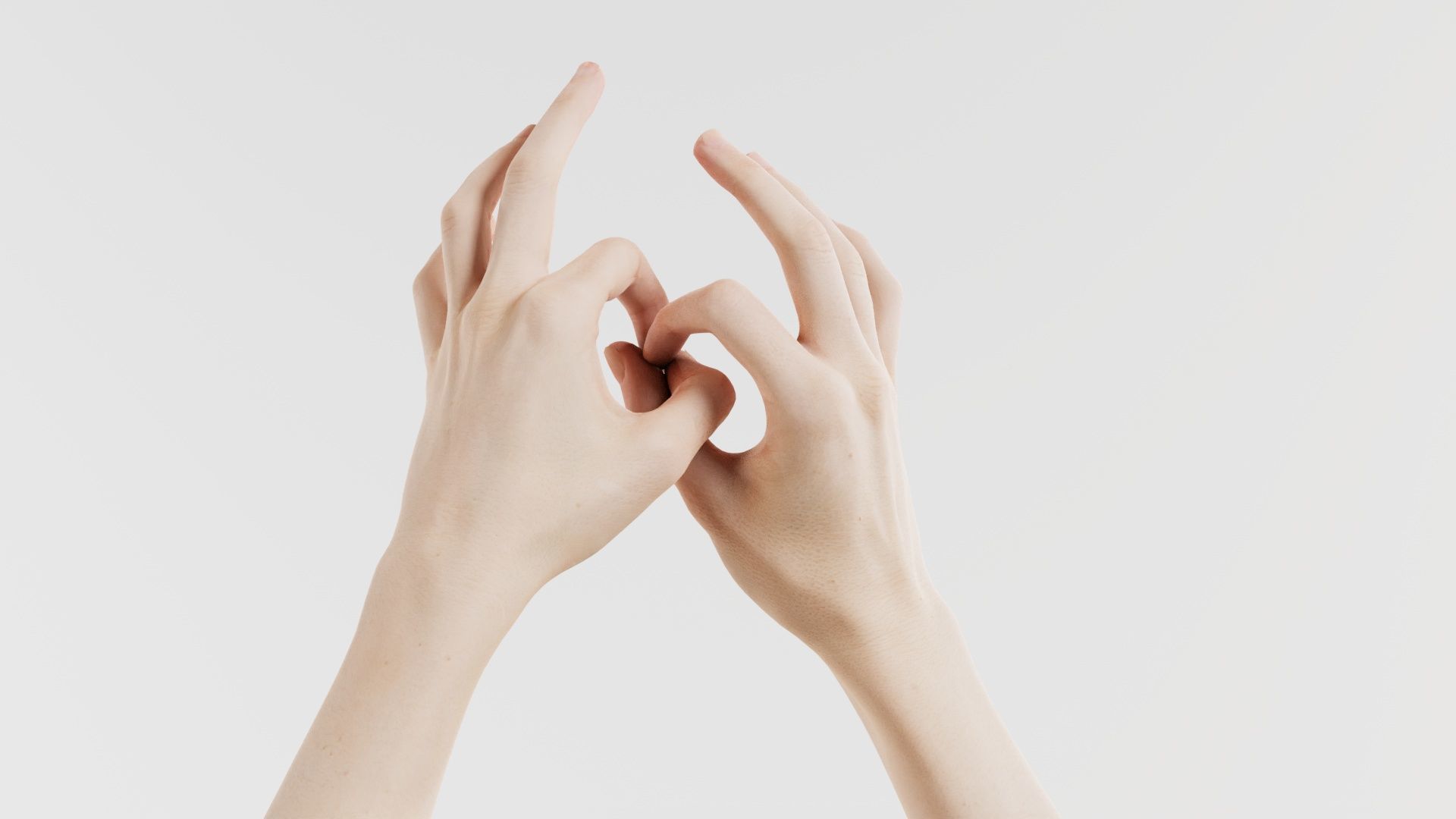 Duo Hands 015 Low-poly 3D model_3