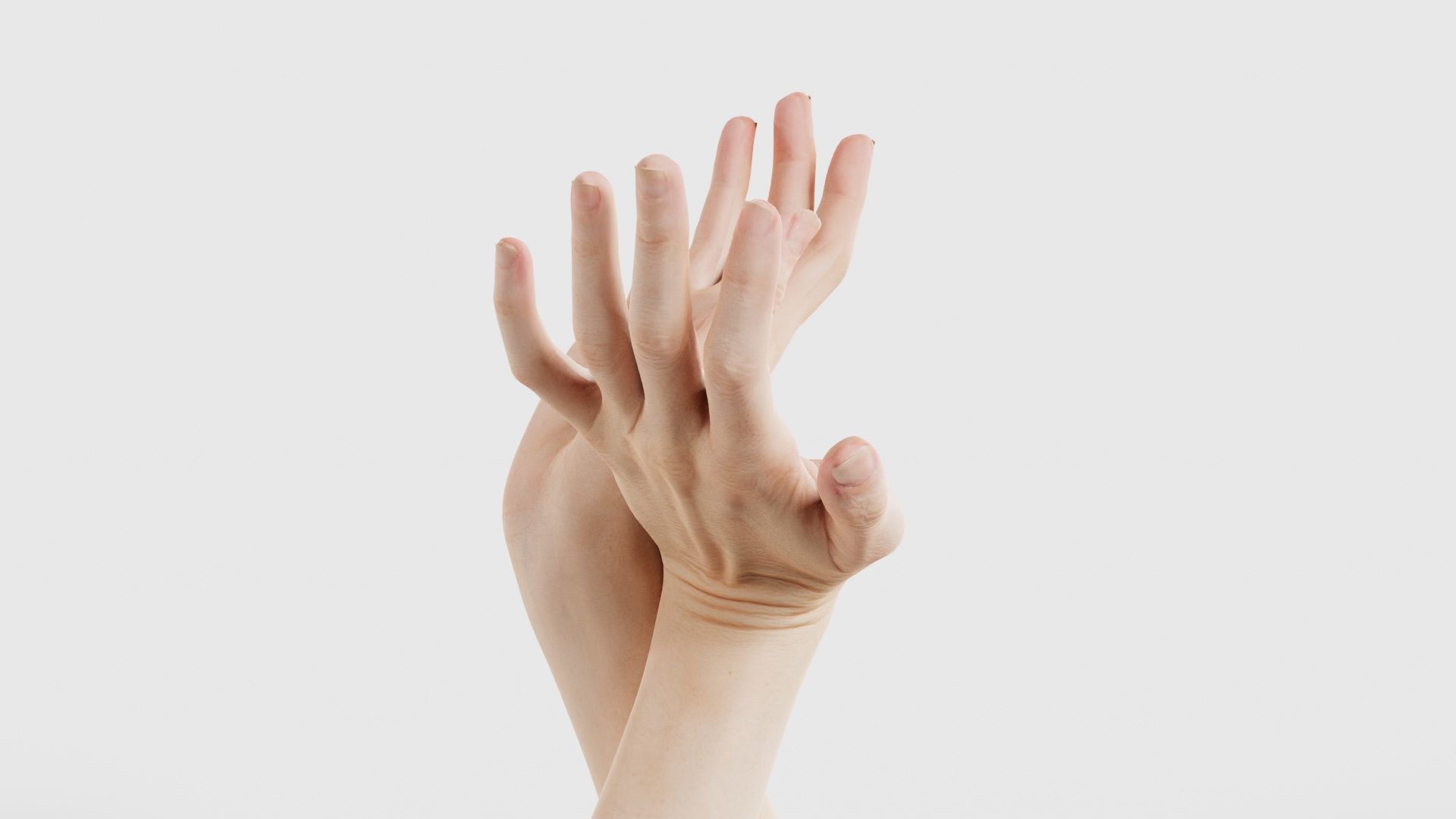 Duo Hands 016 Low-poly 3D model_19
