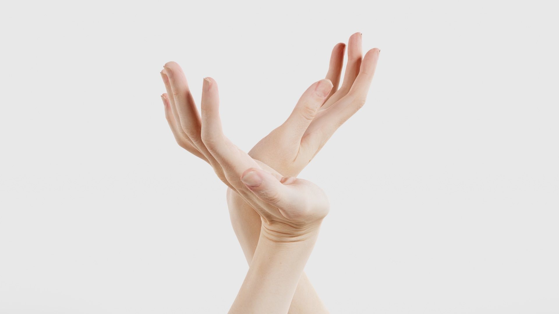 Duo Hands 016 Low-poly 3D model_18