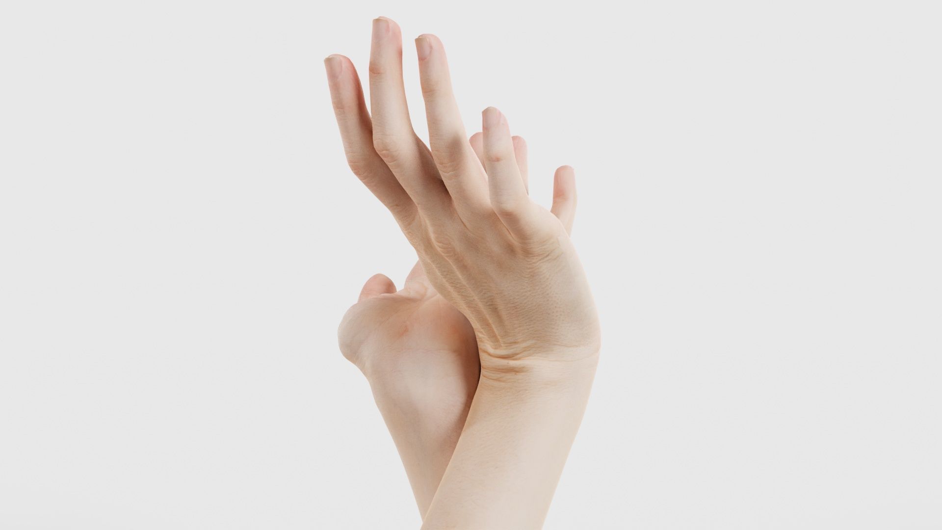 Duo Hands 016 Low-poly 3D model_25