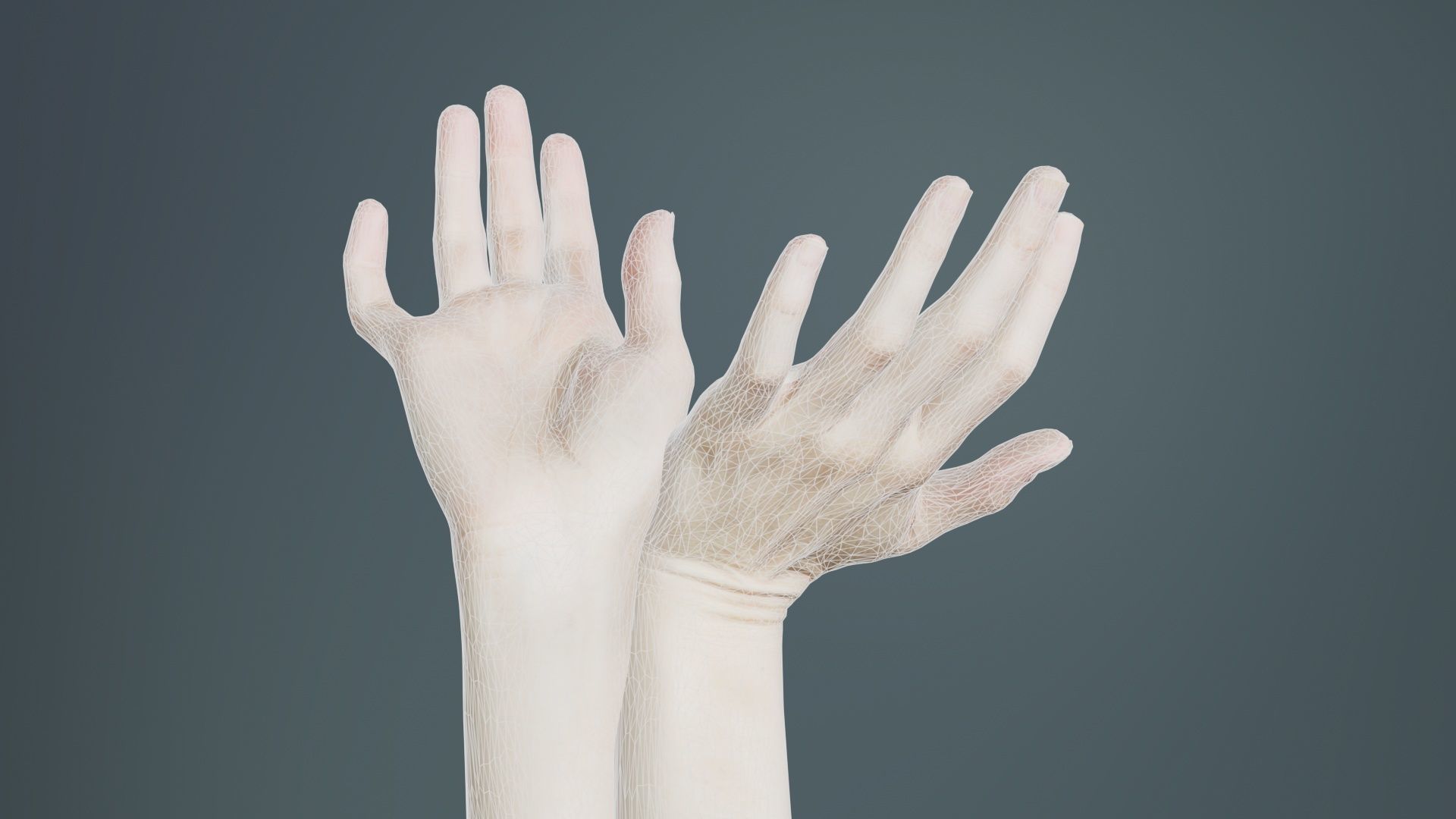 Duo Hands 016 Low-poly 3D model_10