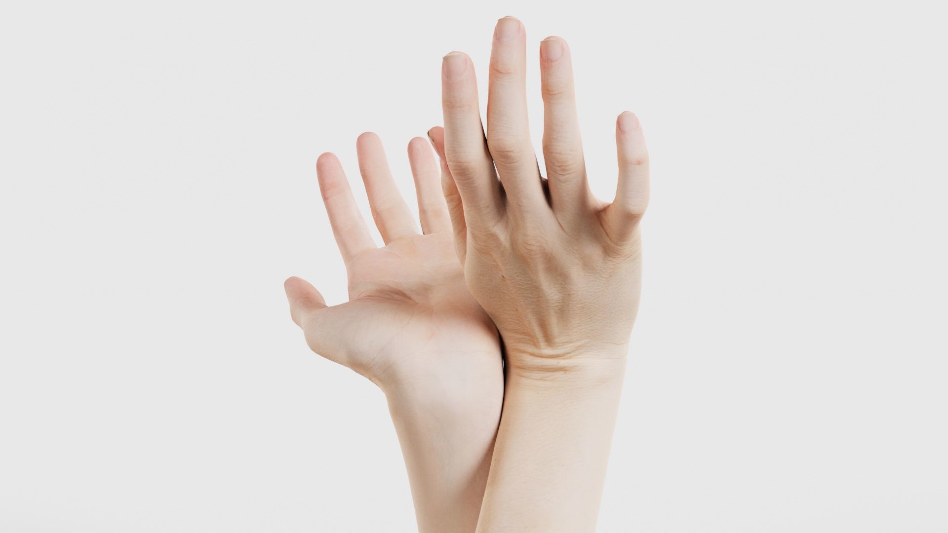 Duo Hands 016 Low-poly 3D model_26