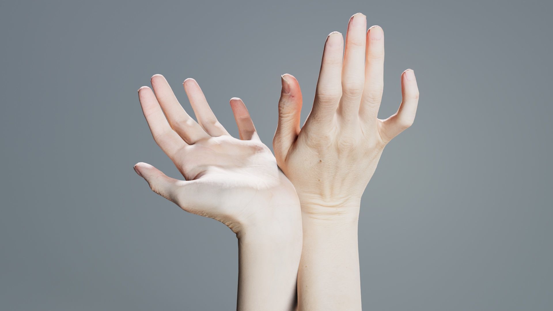 Duo Hands 016 Low-poly 3D model_7