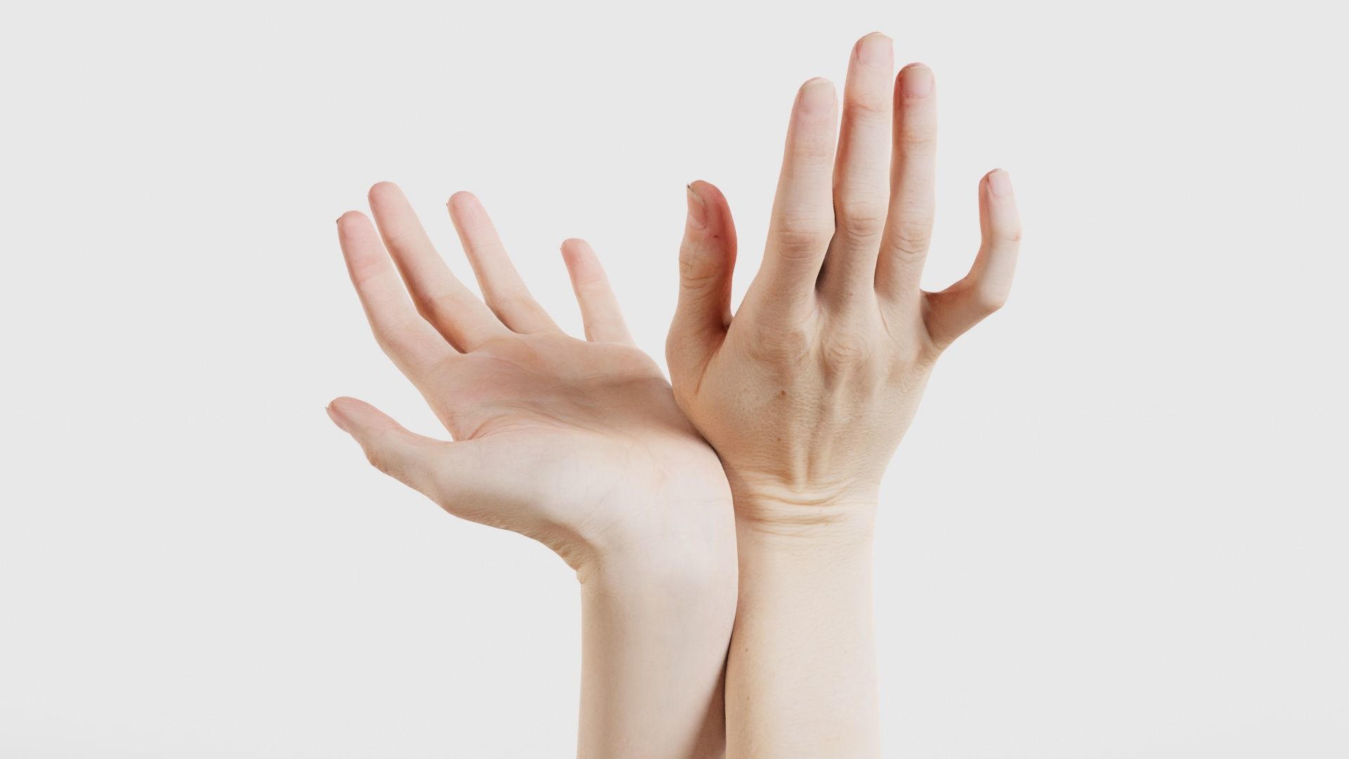 Duo Hands 016 Low-poly 3D model_15