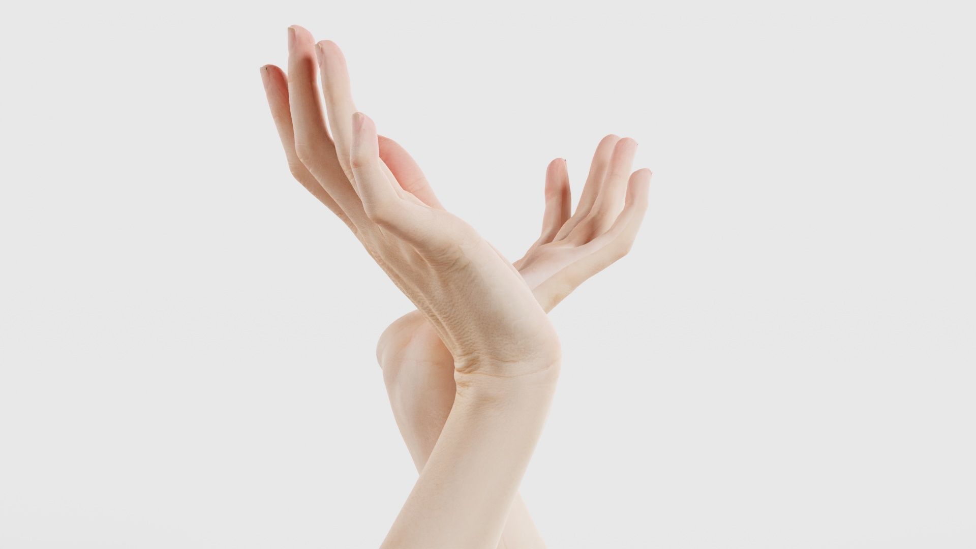 Duo Hands 016 Low-poly 3D model_24