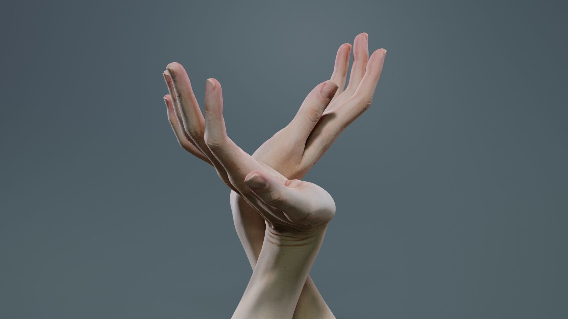 Duo Hands 016 Low-poly 3D model_4
