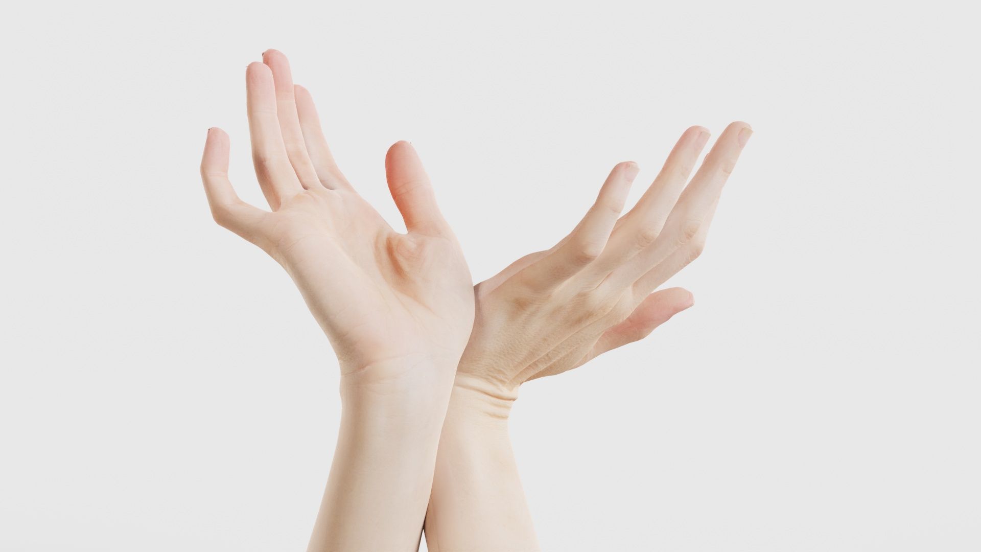 Duo Hands 016 Low-poly 3D model_22