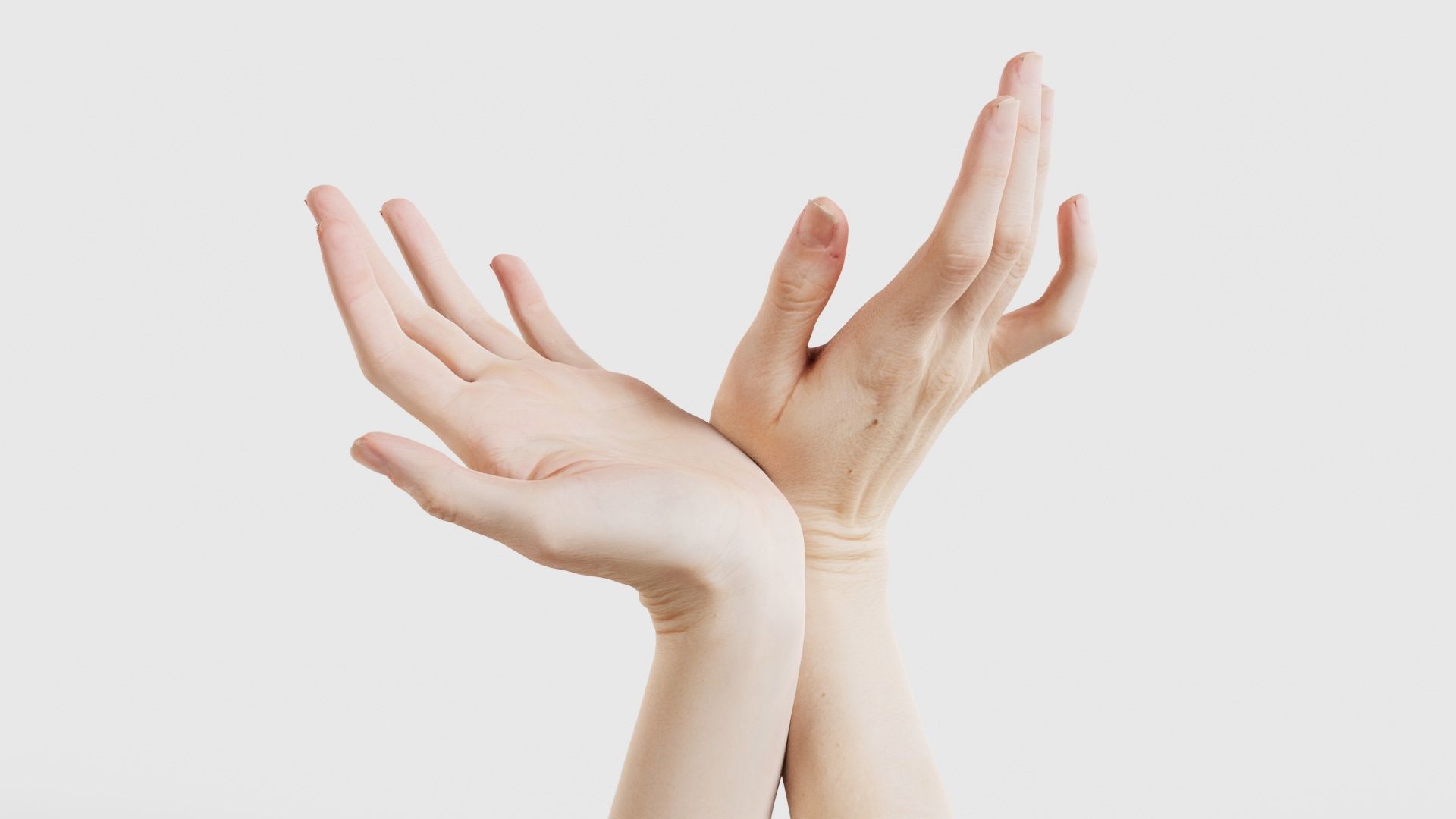Duo Hands 016 Low-poly 3D model_16