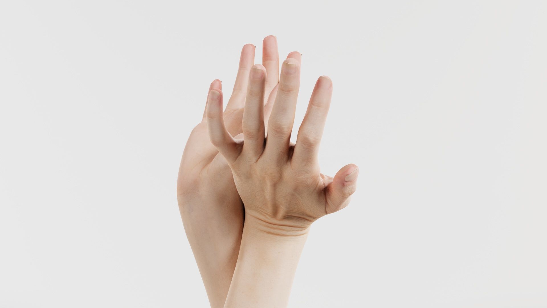 Duo Hands 016 Low-poly 3D model_5