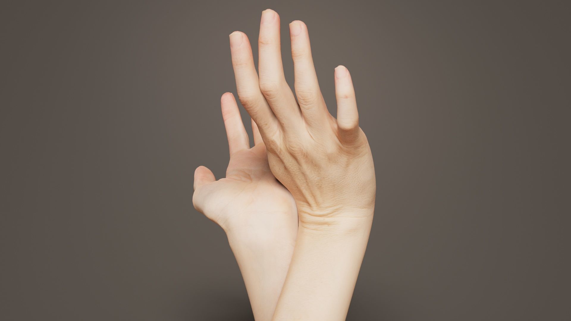 Duo Hands 016 Low-poly 3D model_6