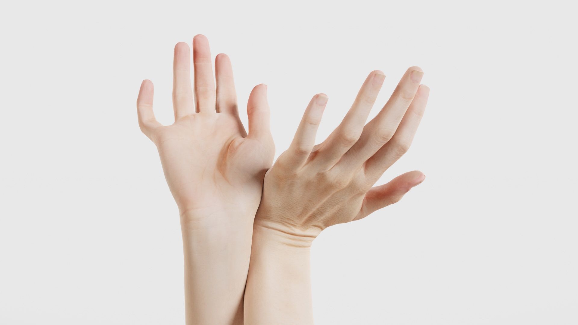 Duo Hands 016 Low-poly 3D model_21