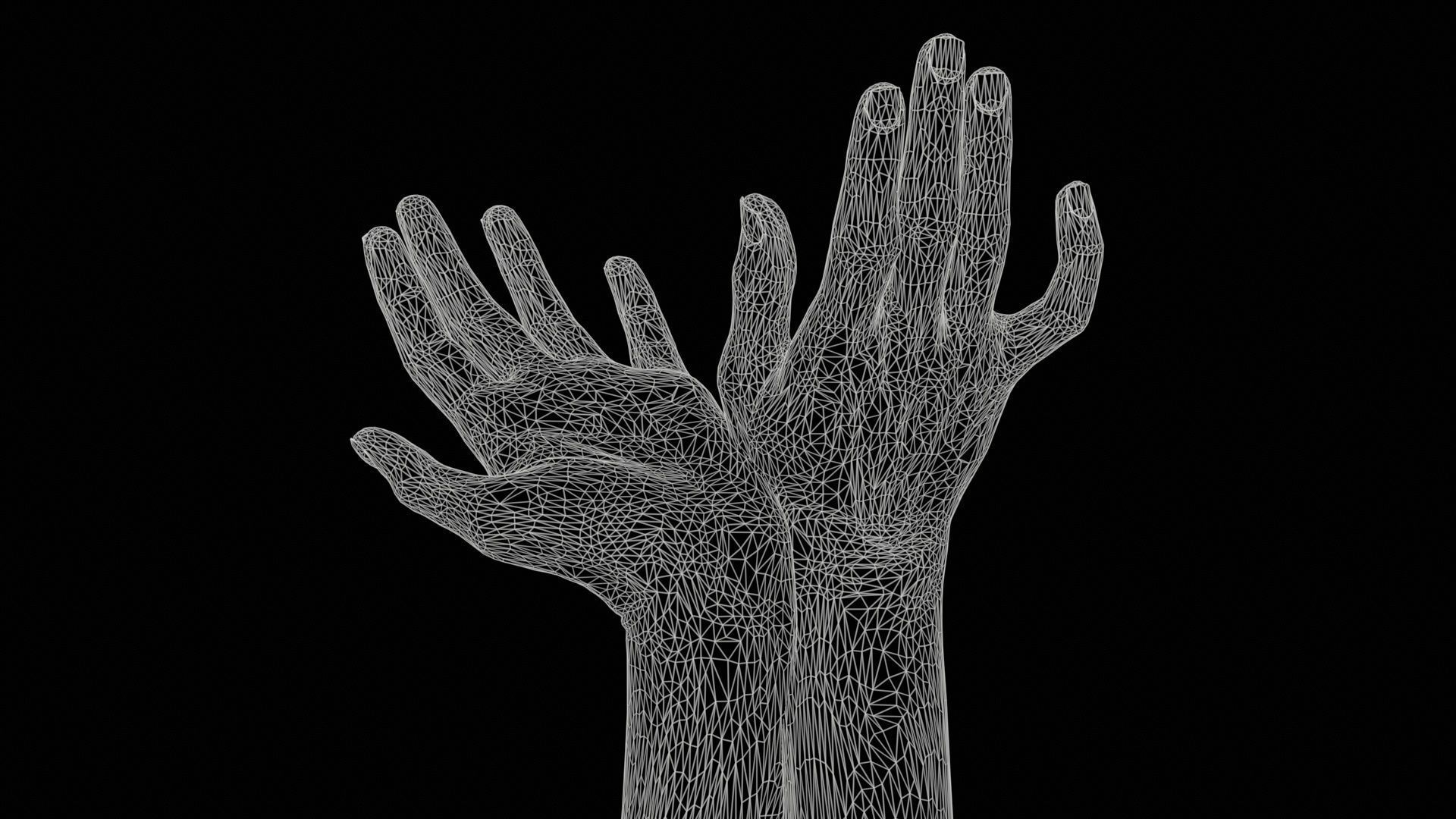 Duo Hands 016 Low-poly 3D model_11