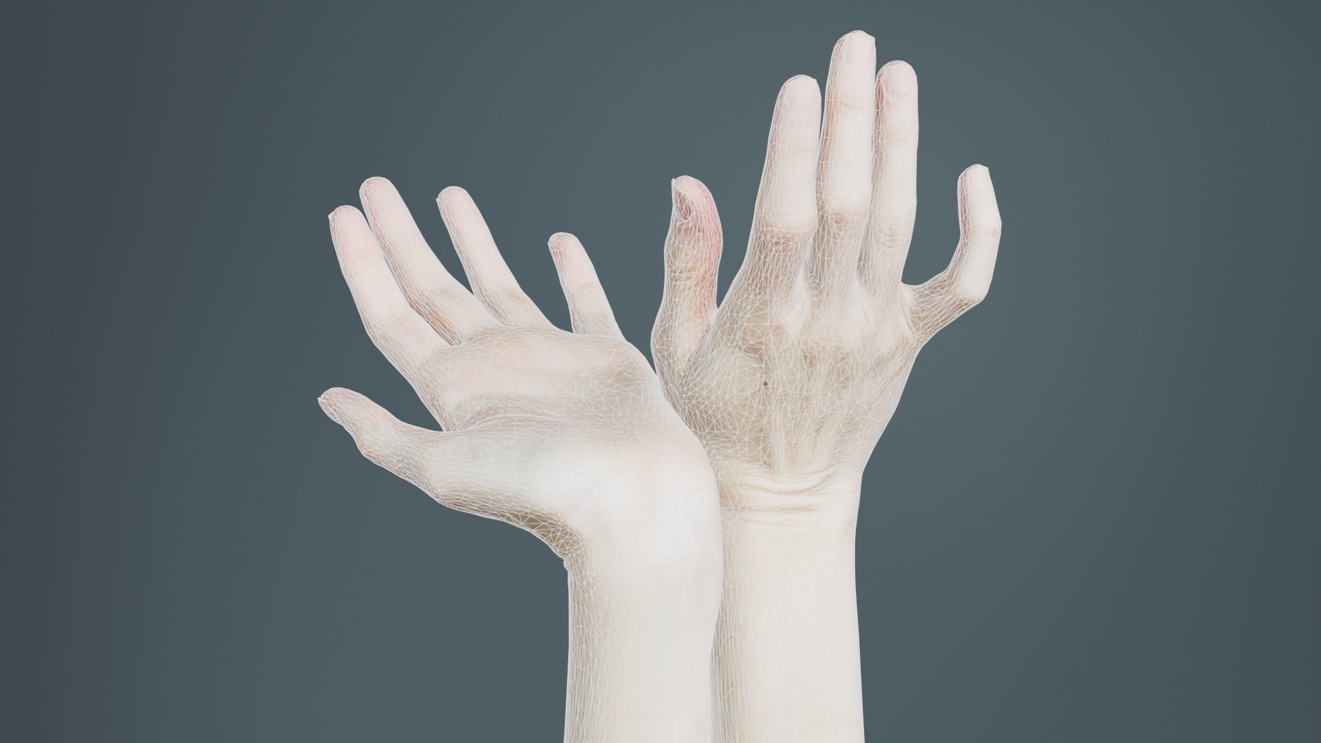 Duo Hands 016 Low-poly 3D model_9