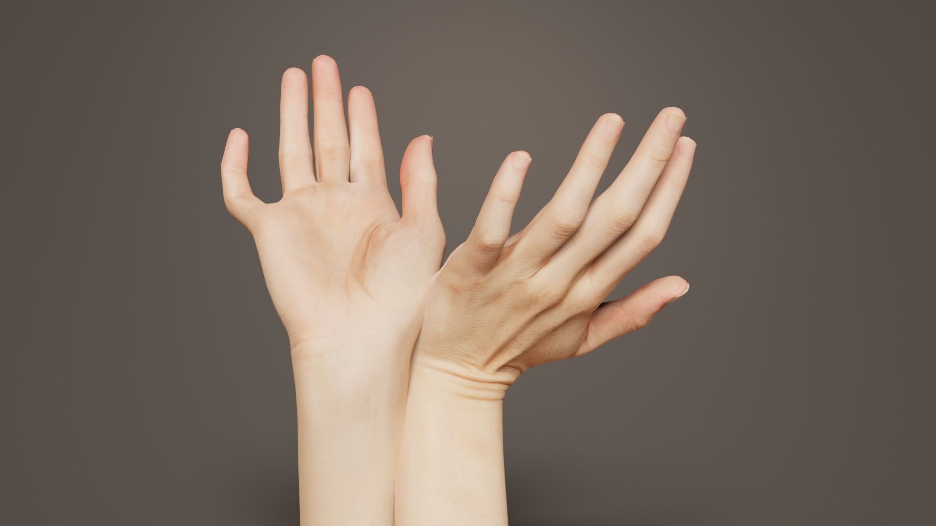 Duo Hands 016 Low-poly 3D model_1