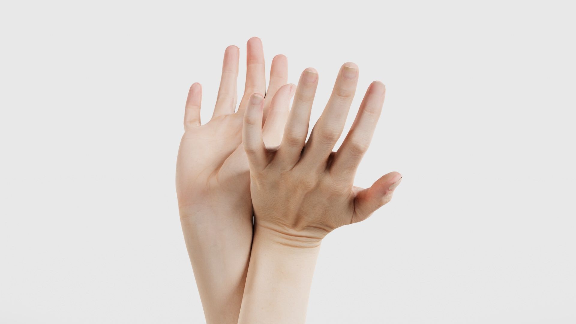 Duo Hands 016 Low-poly 3D model_20