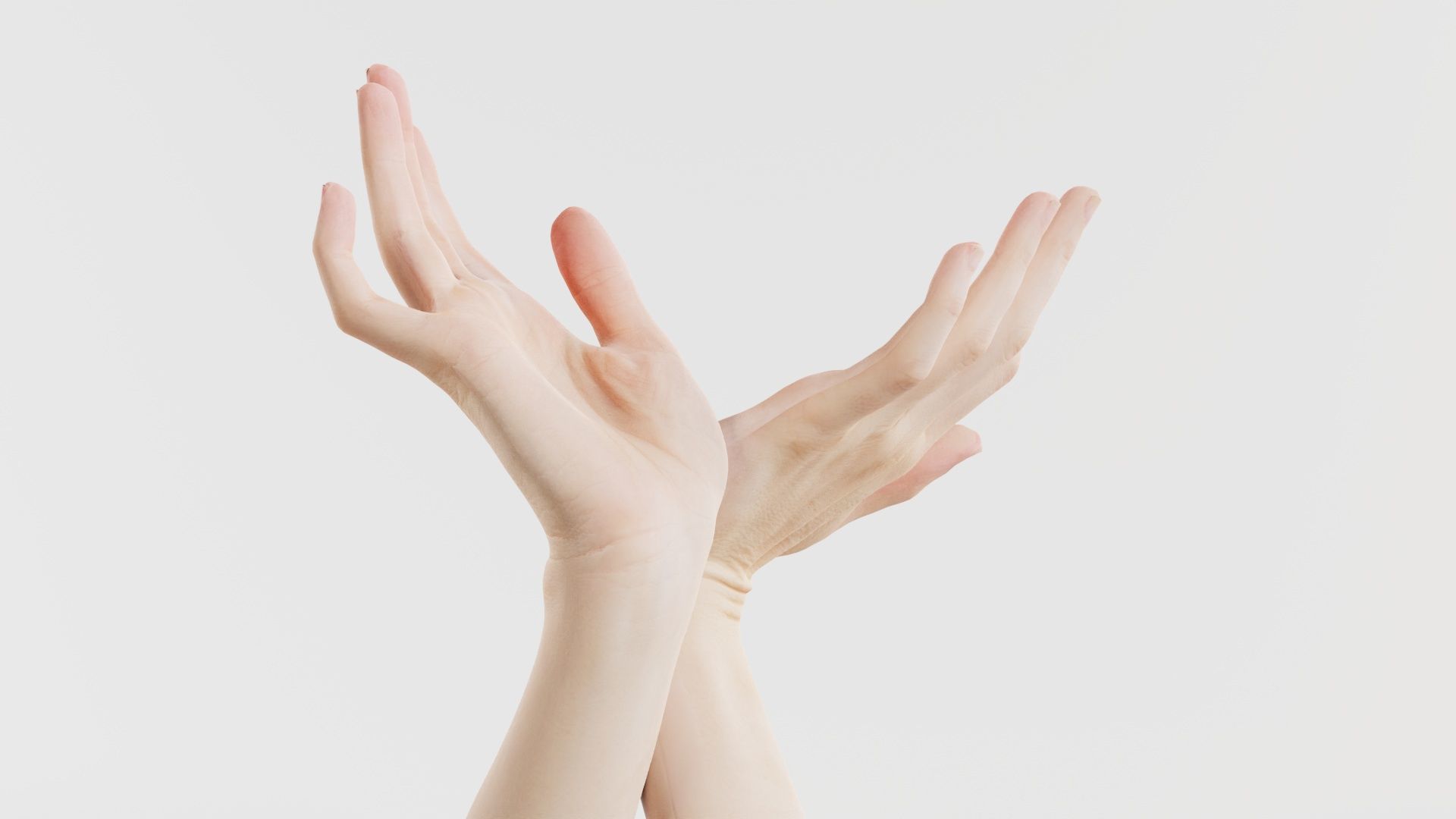 Duo Hands 016 Low-poly 3D model_3