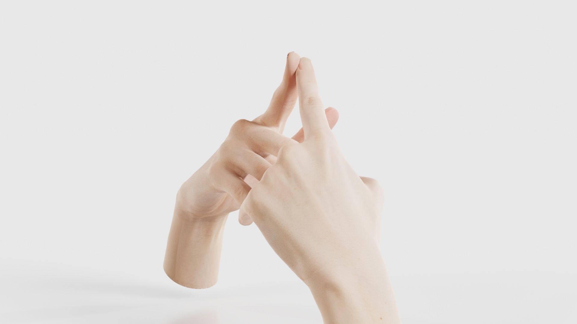 Duo Hands 020 Low-poly 3D model_19