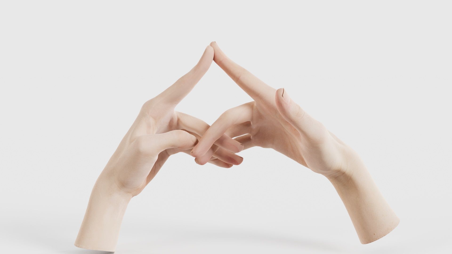 Duo Hands 020 Low-poly 3D model_15