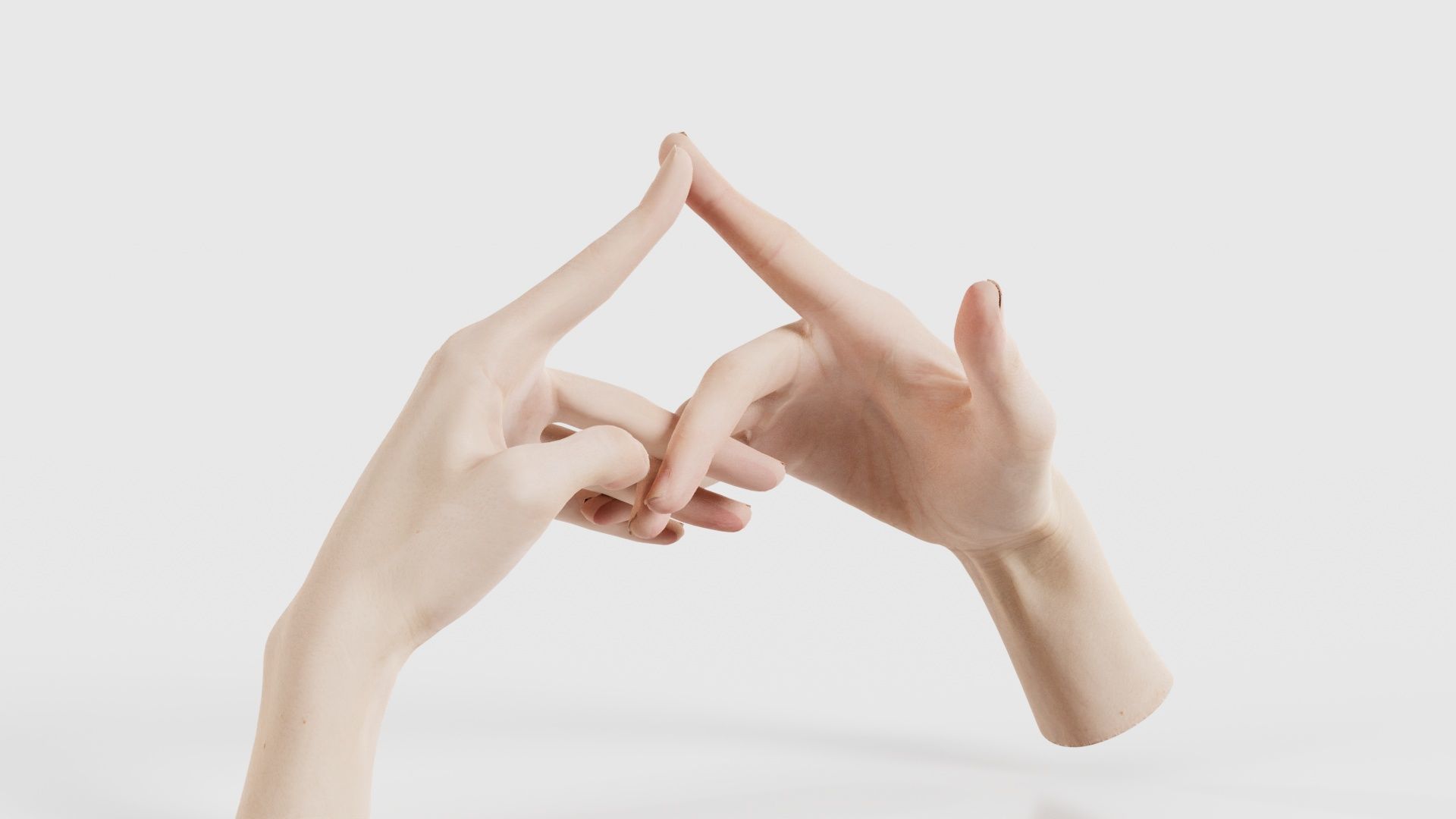 Duo Hands 020 Low-poly 3D model_16