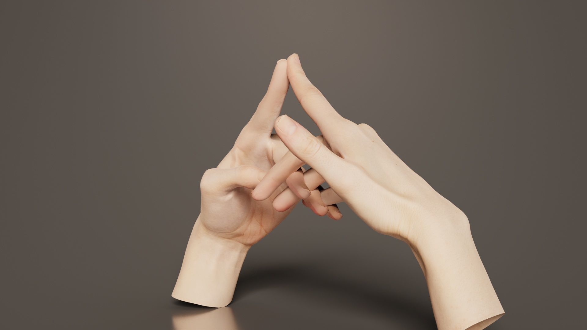Duo Hands 020 Low-poly 3D model_5
