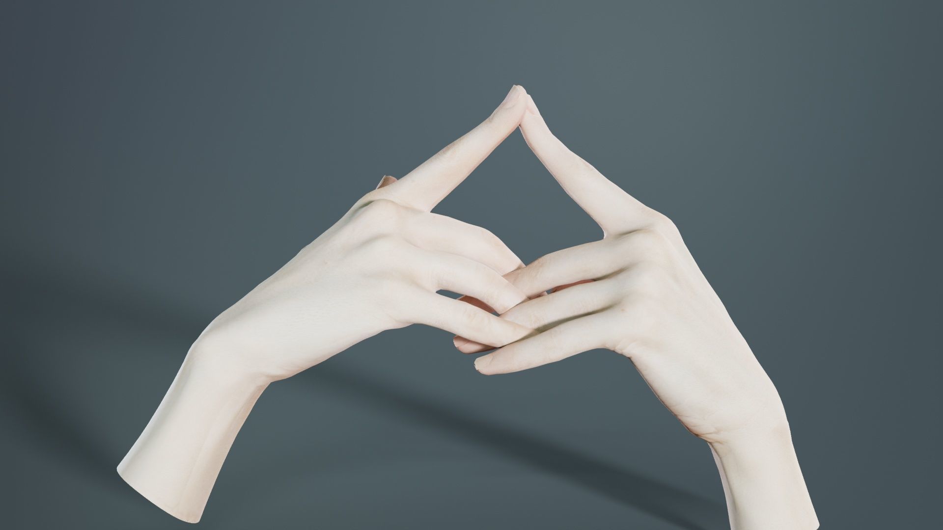 Duo Hands 020 Low-poly 3D model_2