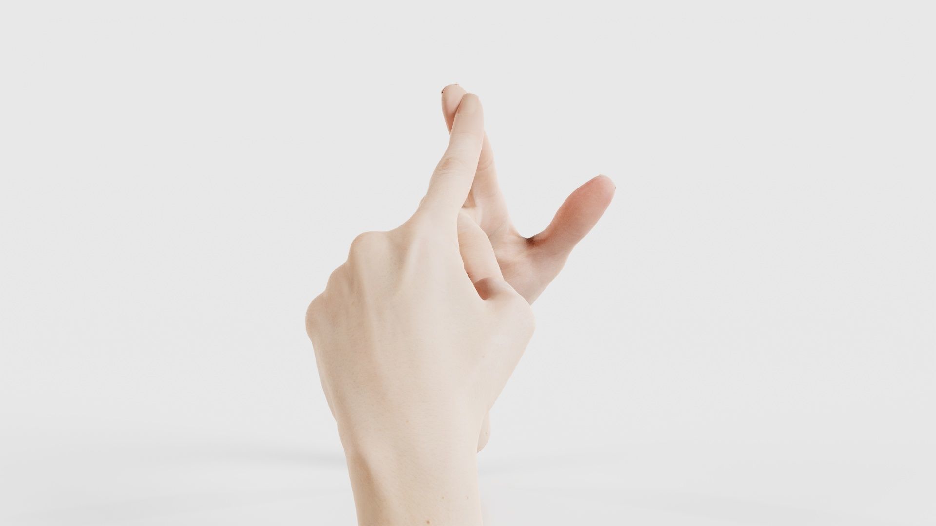 Duo Hands 020 Low-poly 3D model_18