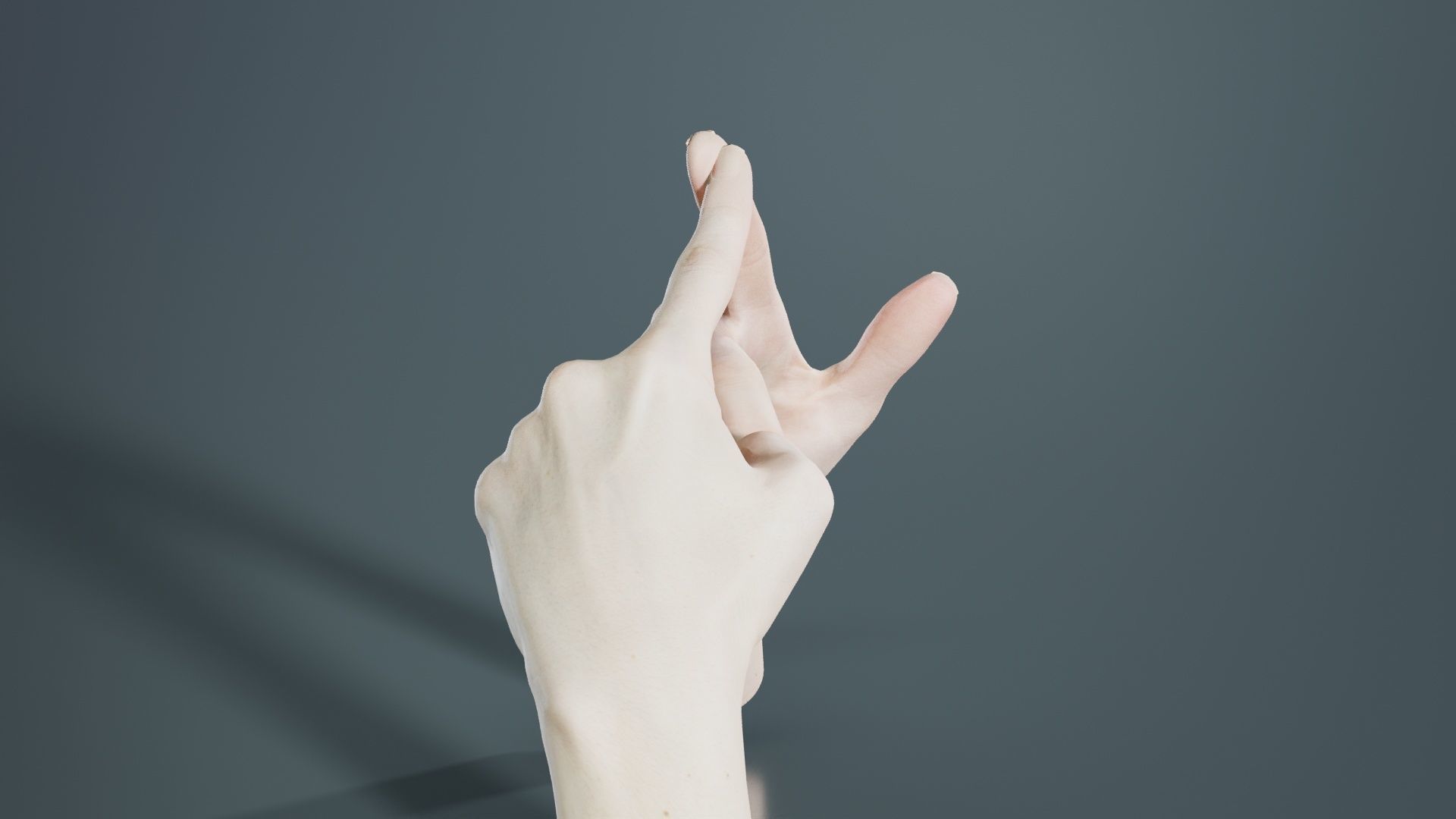 Duo Hands 020 Low-poly 3D model_4