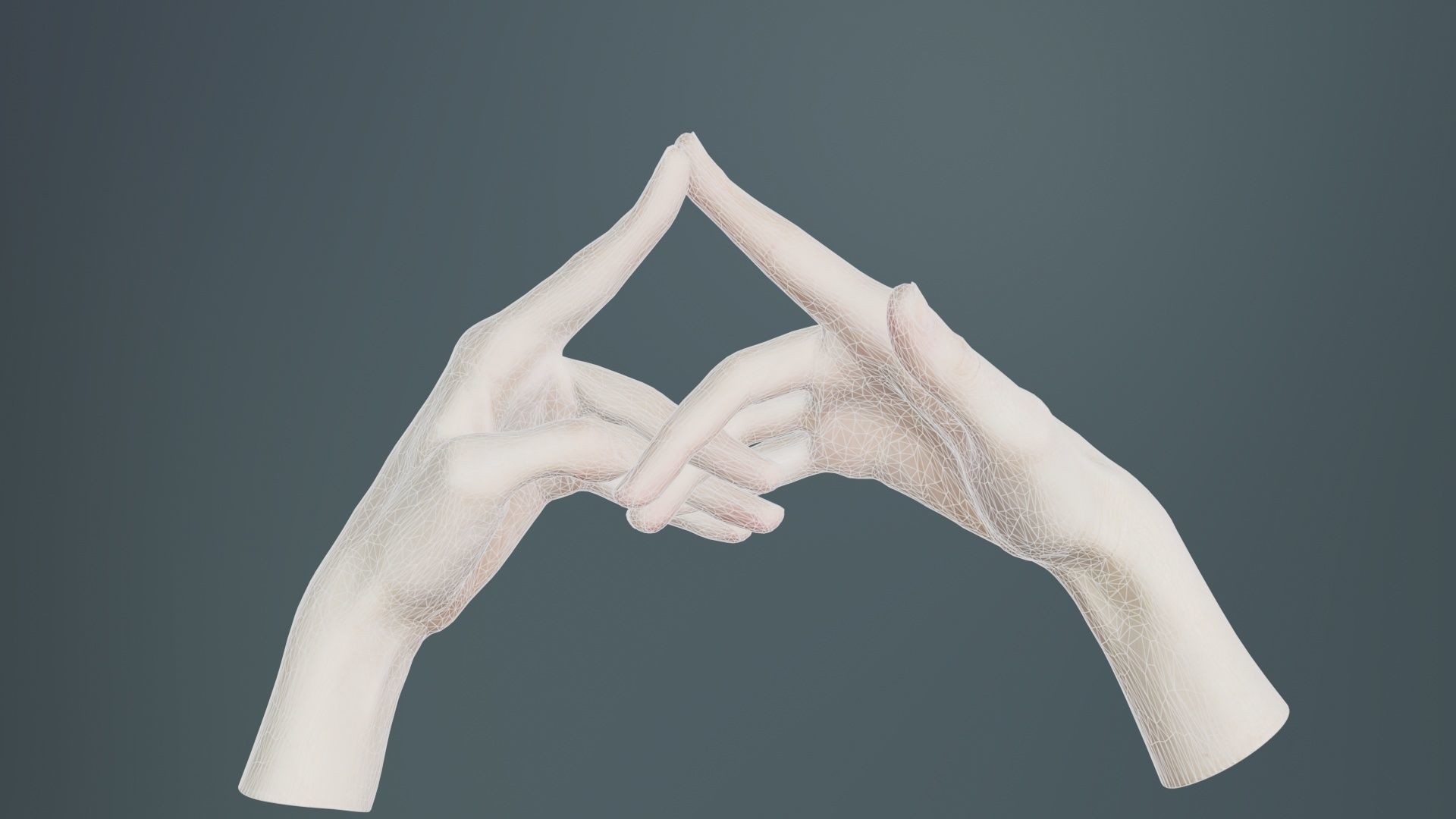 Duo Hands 020 Low-poly 3D model_9