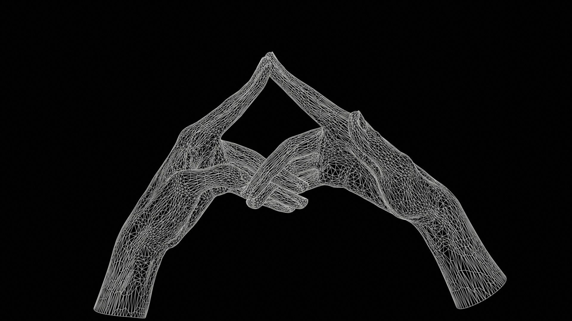 Duo Hands 020 Low-poly 3D model_11