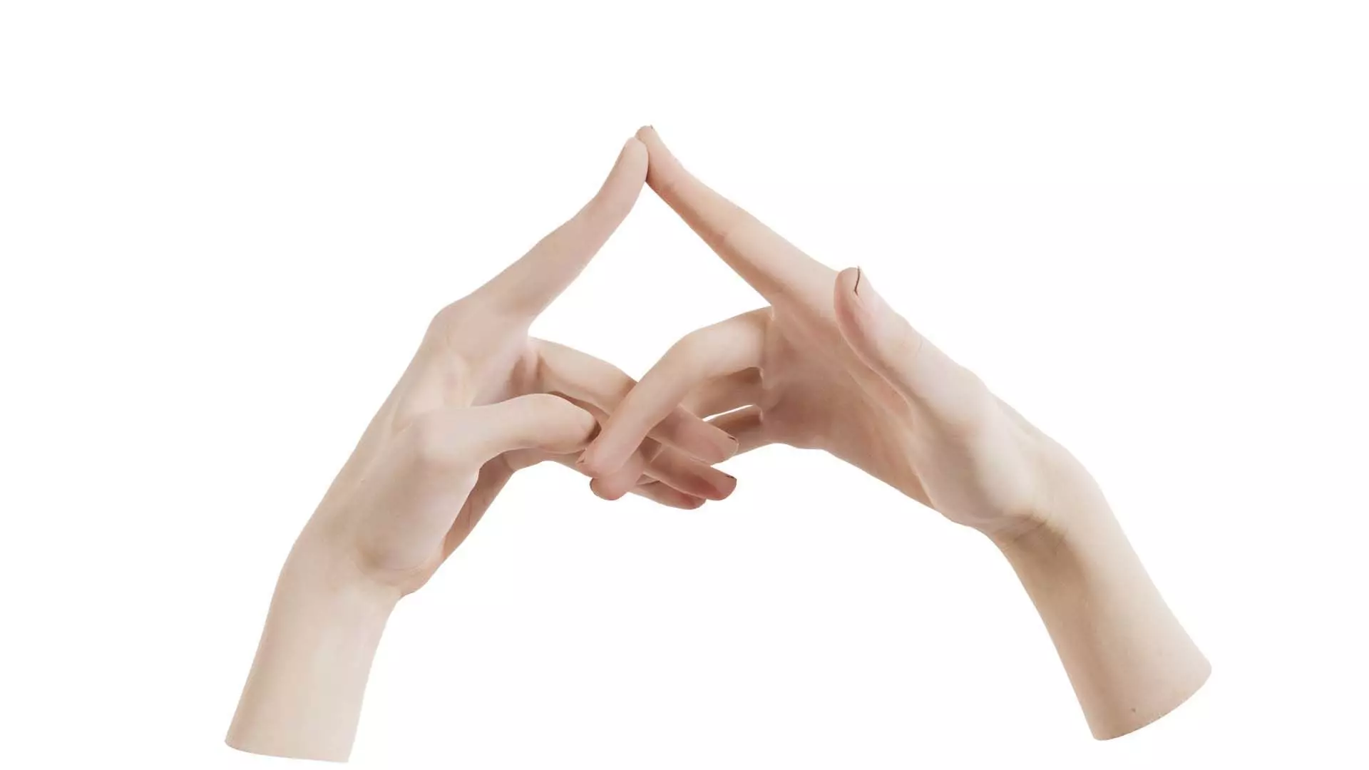 Duo Hands 020 Low-poly 3D model_0