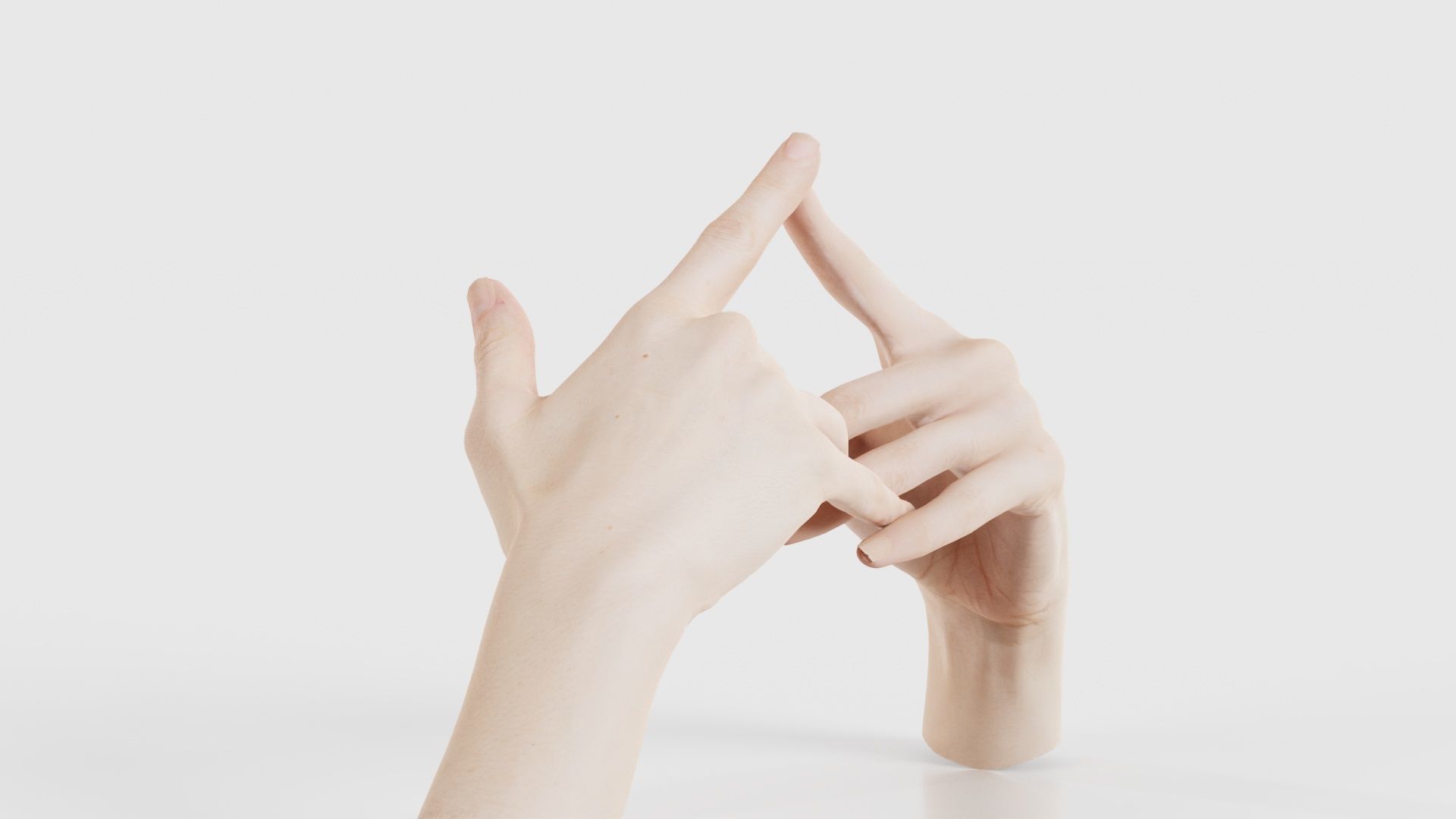 Duo Hands 020 Low-poly 3D model_23