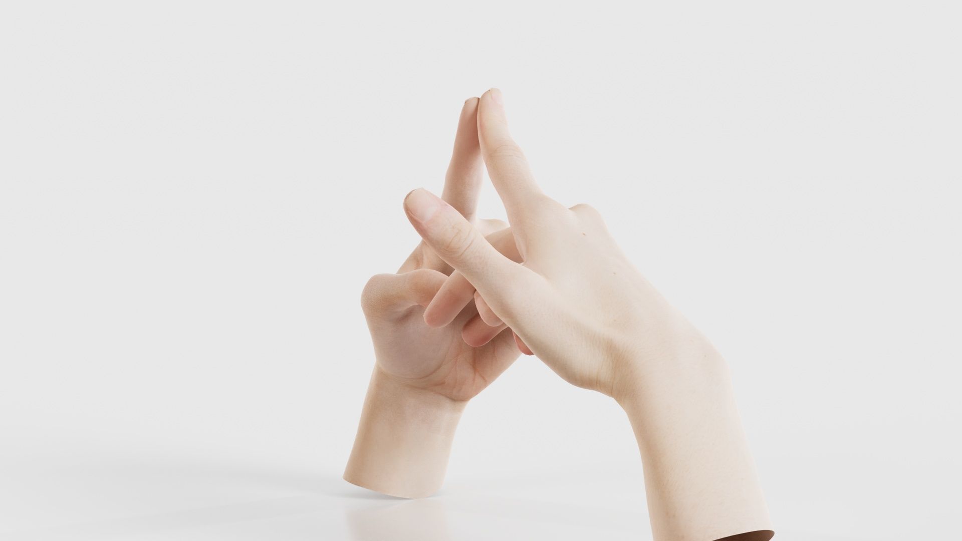 Duo Hands 020 Low-poly 3D model_25