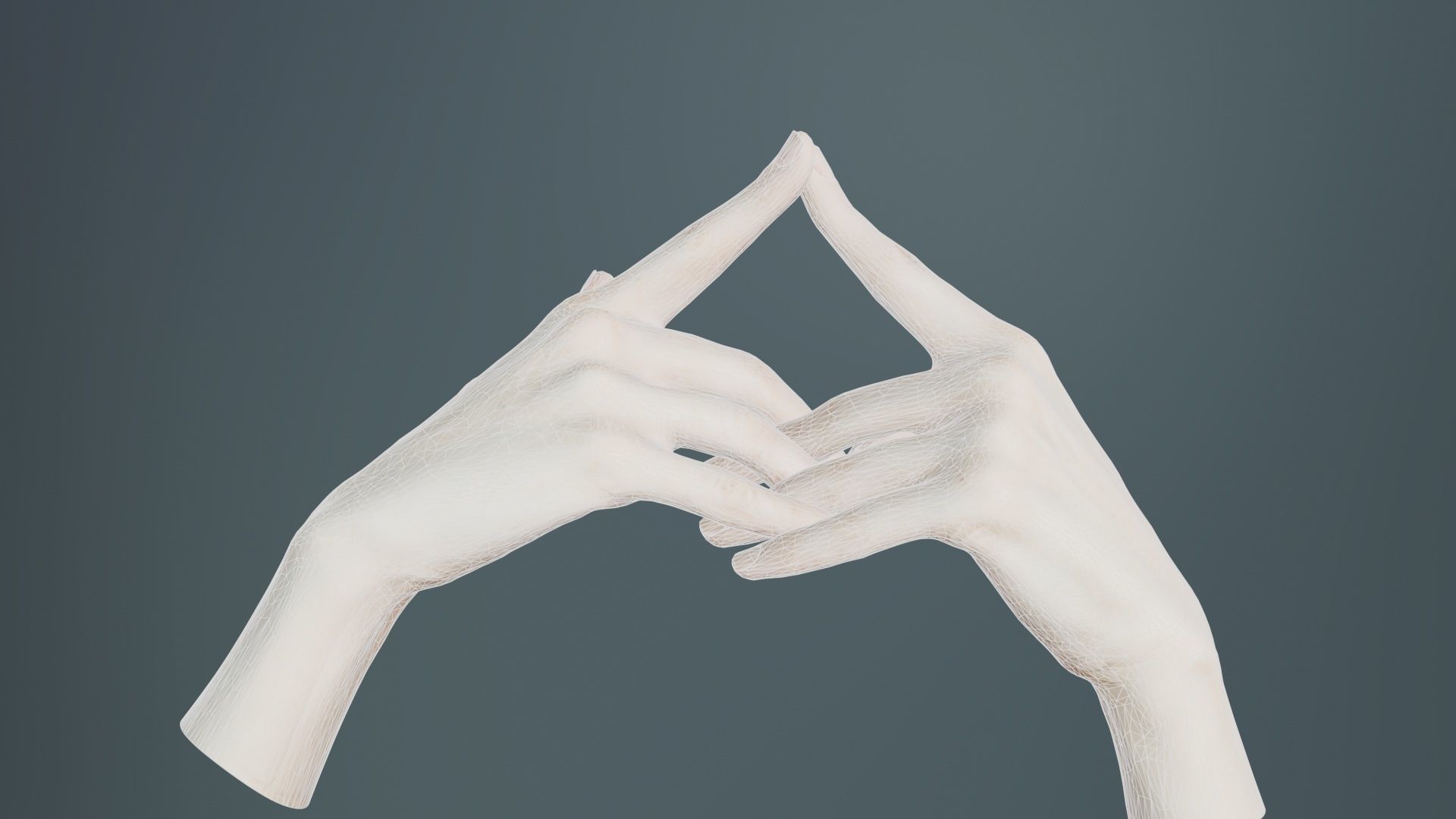 Duo Hands 020 Low-poly 3D model_10