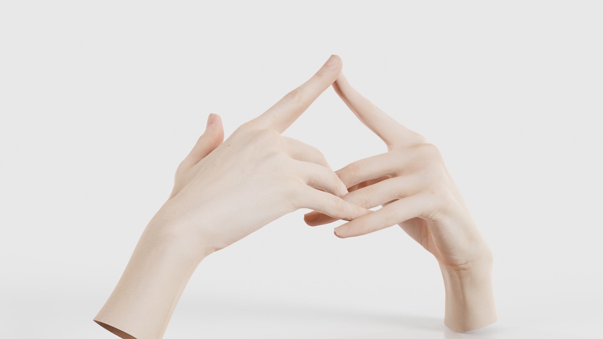 Duo Hands 020 Low-poly 3D model_22