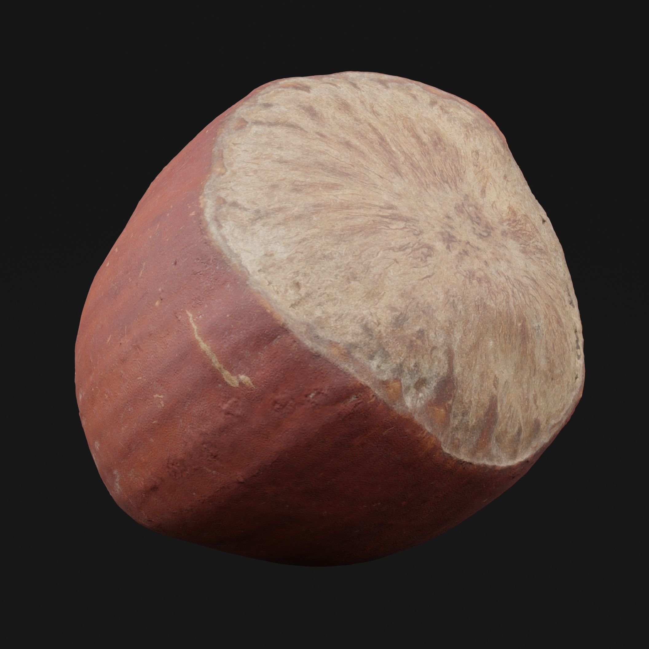 Hazelnut 3D model_5