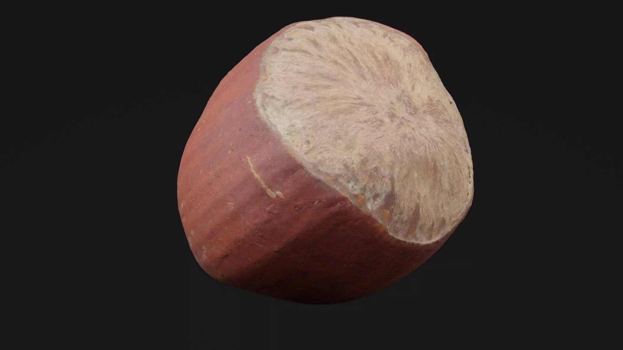 Hazelnut 3D model_0